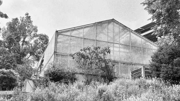 HAC Greenhouse